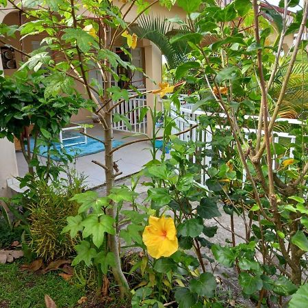 Joyaux De Tivoli Villa ฟอร์-เดอ-ฟร็องส์ ภายนอก รูปภาพ